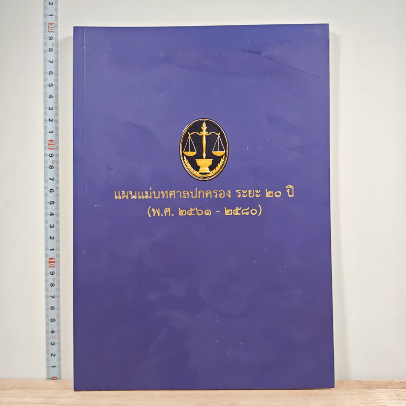 แผนแม่บทศาลปกครอง ระยะ 20 ปี รูปที่ 1