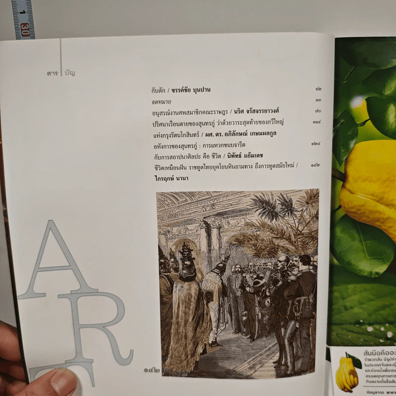 ศิลปวัฒนธรรม ปีที่ 38 ฉบับที่ 8 มิ.ย.2560 รูปที่ 7