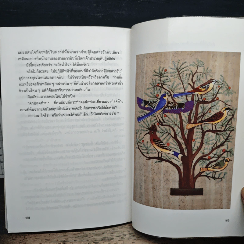 บุกไคโร - ณรงค์ จันทร์เรือง รูปที่ 9