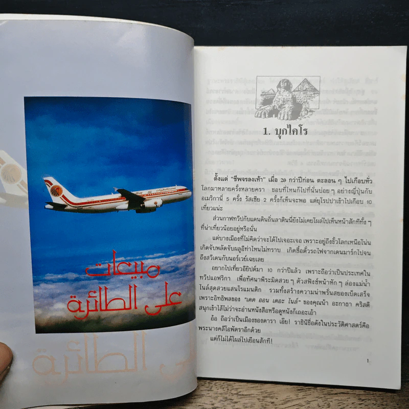 บุกไคโร - ณรงค์ จันทร์เรือง รูปที่ 8