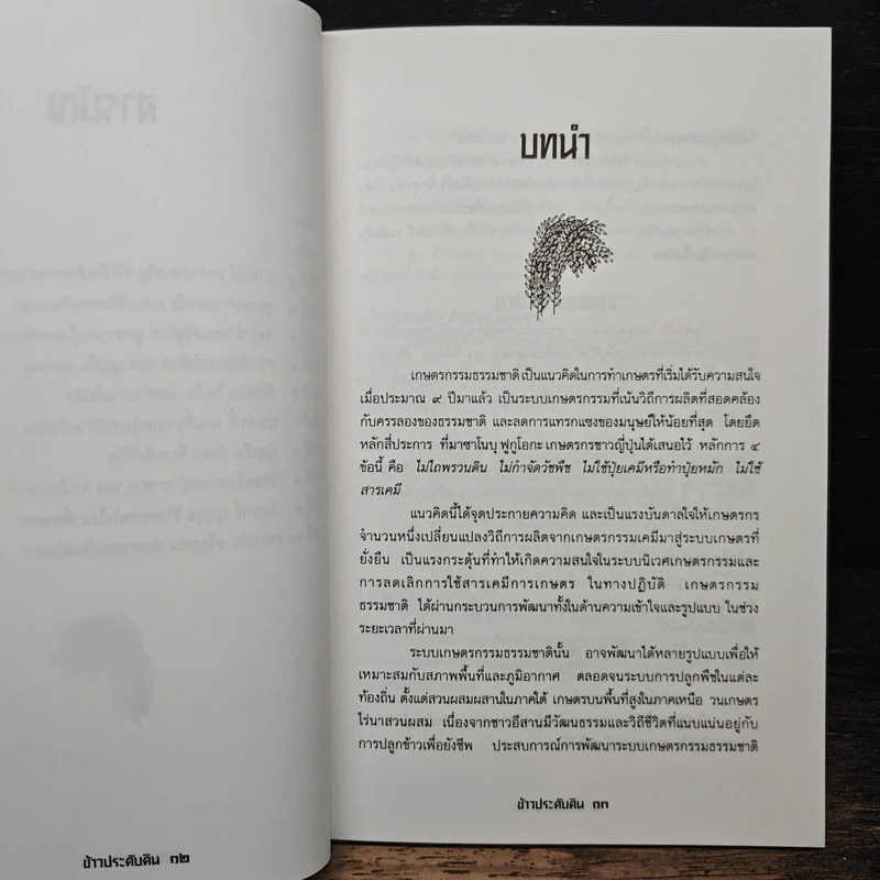ข้าวประดับดิน - กลุ่มศึกษาเกษตรกรรมธรรมชาติ รูปที่ 8