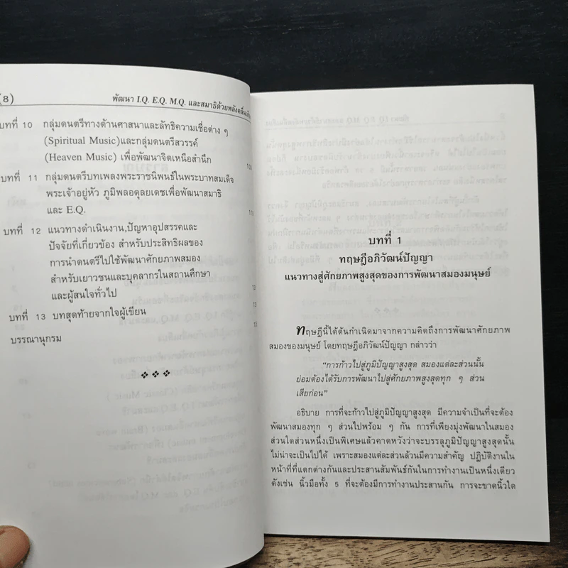 พัฒนา I.Q. E.Q. M.Q. และสมาธิ ด้วยพลังคลื่นเสียง - อาจารย์อริยะ สุพรรณเภษัช รูปที่ 8