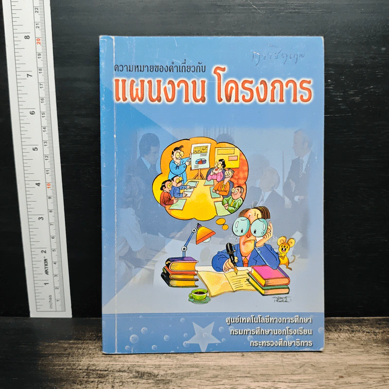 ความหมายของคำเกี่ยวกับแผนงานโครงการ รูปที่ 1