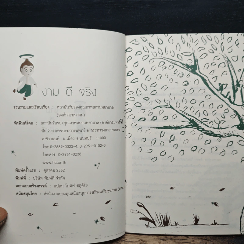 งาม ดี จริง รูปที่ 6