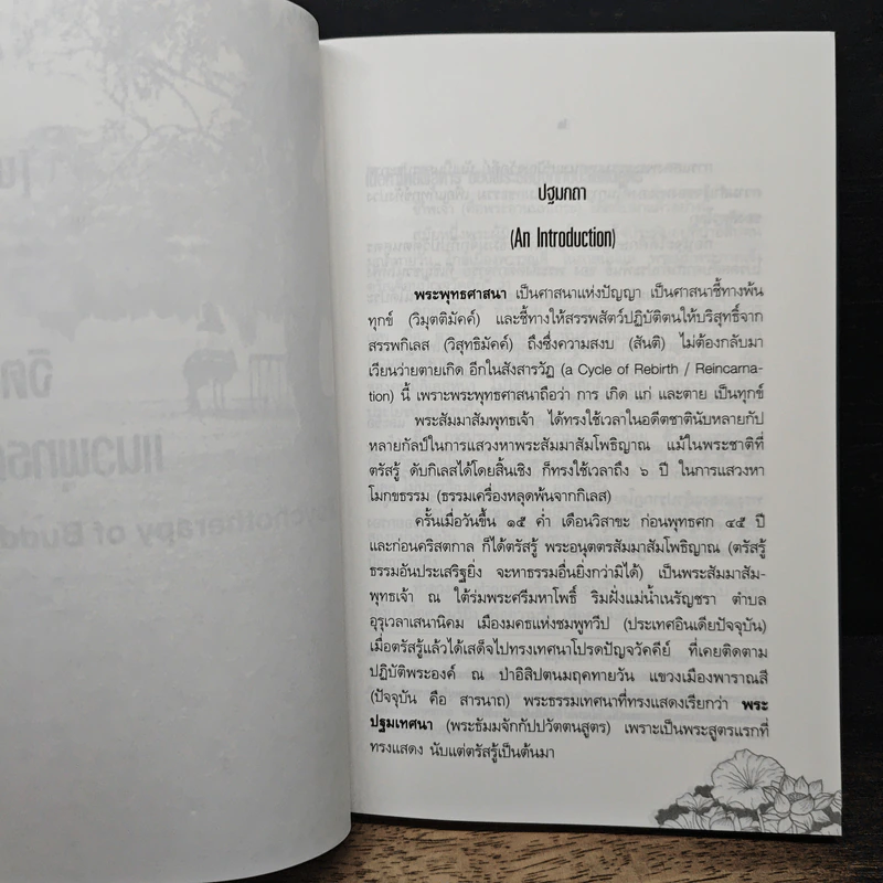 จิตบำบัดแนวพุทธศาสน์ เล่ม 1 - ประยงค์ สุวรรณบุบผา รูปที่ 13