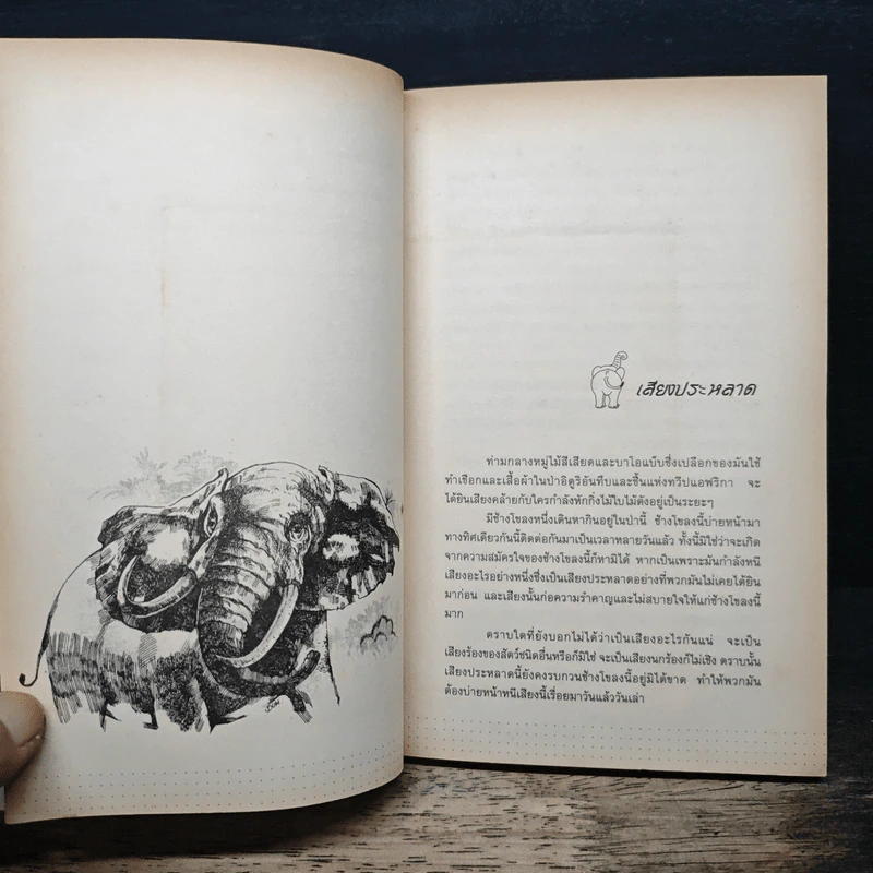 พลายจำปา - Theodore J. Waldeck, ลมุล รัตตากร รูปที่ 7