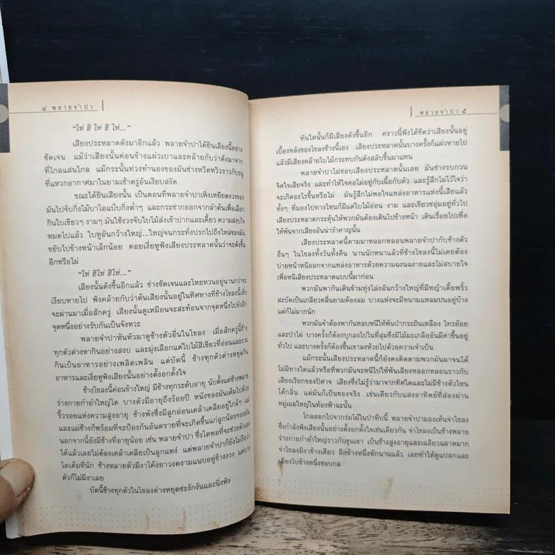 พลายจำปา - Theodore J. Waldeck, ลมุล รัตตากร รูปที่ 8