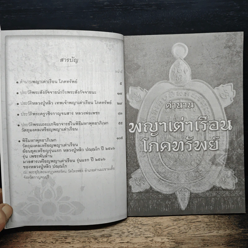 เทพเจ้าพญาเต่าเรือน หลวงปู่ หลิว ปณฺณโก รูปที่ 6
