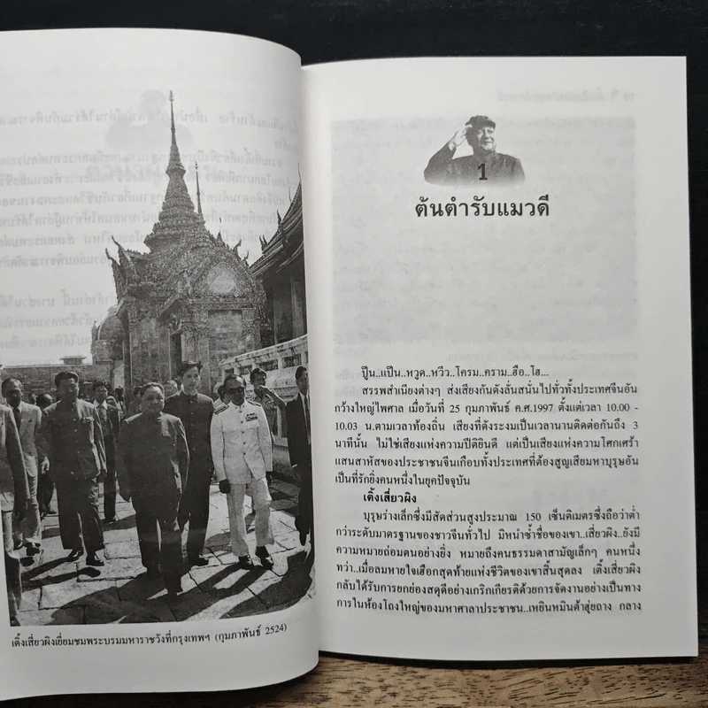 เติ้งเสี่ยวผิง มังกรมหัศจรรย์ รูปที่ 8