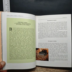 Swiftlets of Borneo: Builders of Edible Nests - Lim Chan Koon รูปที่ 11
