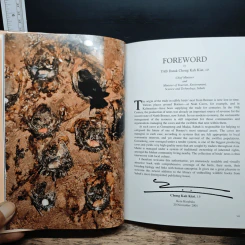 Swiftlets of Borneo: Builders of Edible Nests - Lim Chan Koon รูปที่ 8