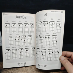Uke 101 อูคูเลเล่สำหรับผู้เริ่มต้น - Acoustic Ballyhoo รูปที่ 9