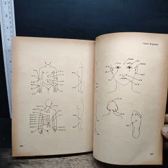 The Acupressure Handbook - Shizuko Yamamoto, Patrick McCarty รูปที่ 14