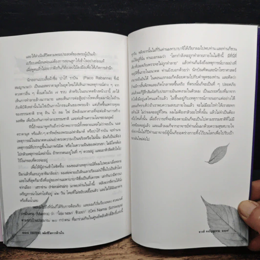 Esoteric พลิกชีวิตจากด้านใน - เรอเน่ ทิชเลอร์, ดวงดี คงธัญญะงาม รูปที่ 9