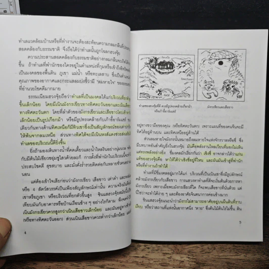 ฮวงจุ้ย สำนักปากัว-หลอซู - ลิลเลียน ตู รูปที่ 8