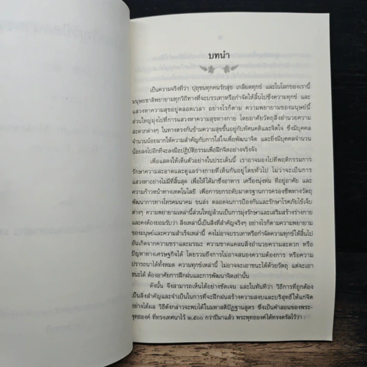 แนวทางเจริญวิปัสสนากรรมฐาน อัคคมหาบัณฑิต ภัททันตโสภณมหาเถระ มหาสีสยาดอ รูปที่ 8