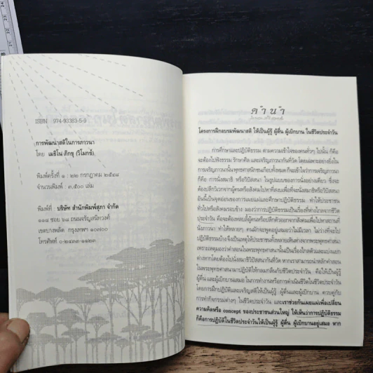 การพัฒนาสติในการภาวนา - นายแพทย์ประเวศ วะสี รูปที่ 7
