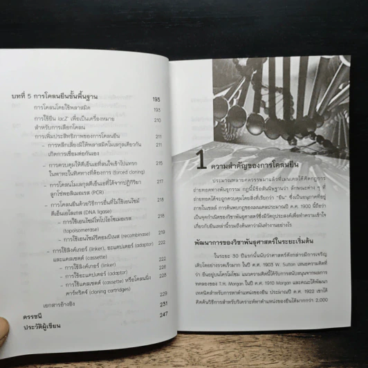 การโคลนยืนเบื้องต้น - มณีวรรณ สุขสมทิพย์ รูปที่ 10