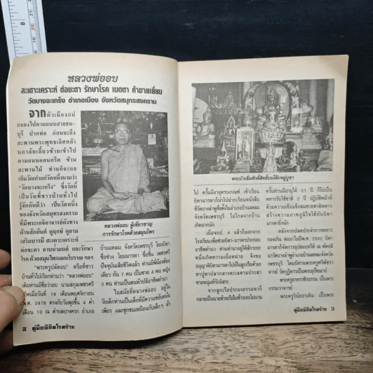 คู่มือรักษา-พิชิตโรคร้าย ด้วยสมุนไพรไทย พระหมอ รูปที่ 6