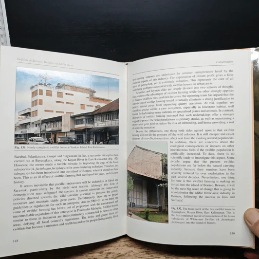 Swiftlets of Borneo: Builders of Edible Nests - Lim Chan Koon รูปที่ 12