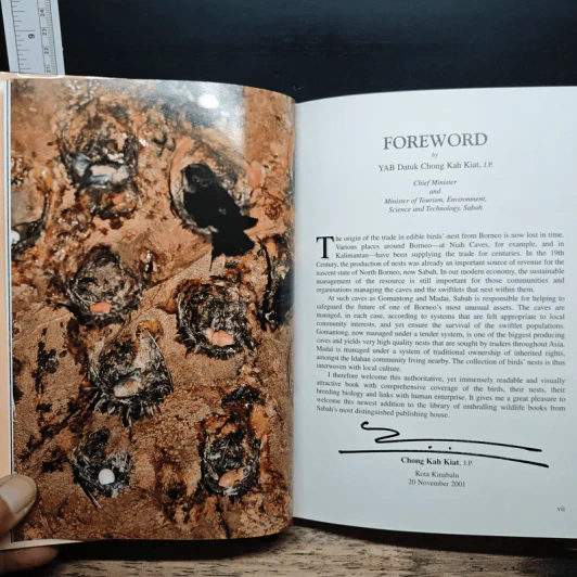 Swiftlets of Borneo: Builders of Edible Nests - Lim Chan Koon รูปที่ 8