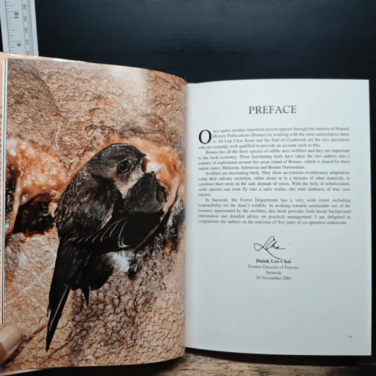 Swiftlets of Borneo: Builders of Edible Nests - Lim Chan Koon รูปที่ 9