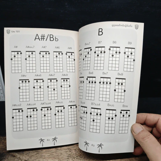 Uke 101 อูคูเลเล่สำหรับผู้เริ่มต้น - Acoustic Ballyhoo รูปที่ 9