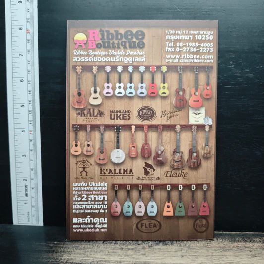 Uke 101 อูคูเลเล่สำหรับผู้เริ่มต้น - Acoustic Ballyhoo รูปที่ 2