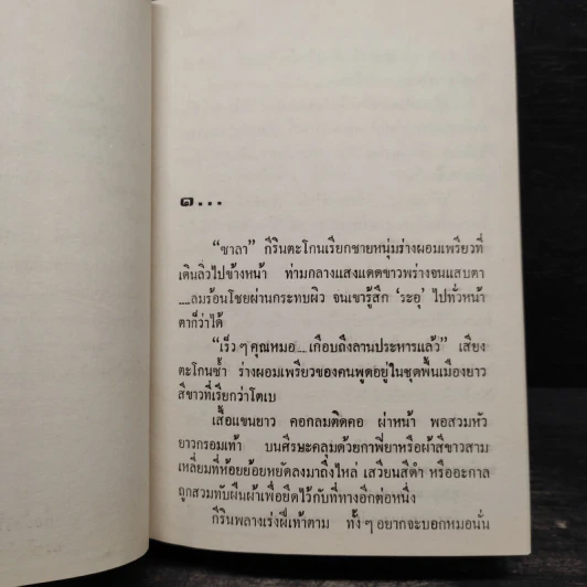 เจ้าทะเลทราย 2 เล่มจบ - โสภาค สุวรรณ รูปที่ 6