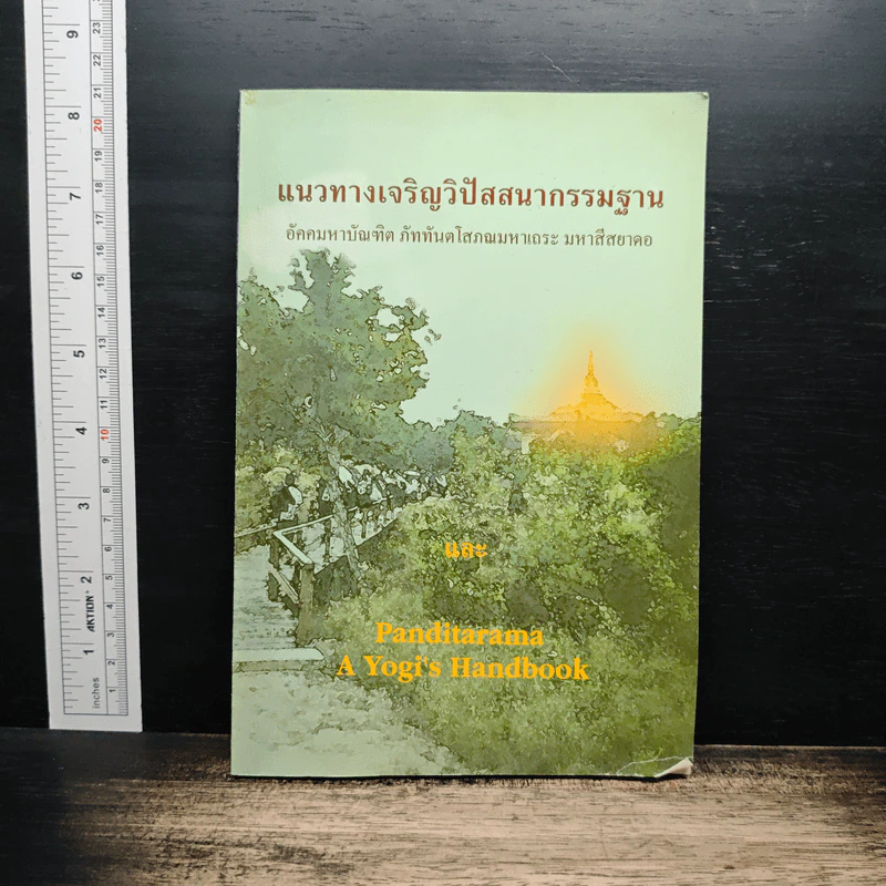 แนวทางเจริญวิปัสสนากรรมฐาน อัคคมหาบัณฑิต ภัททันตโสภณมหาเถระ มหาสีสยาดอ รูปที่ 1
