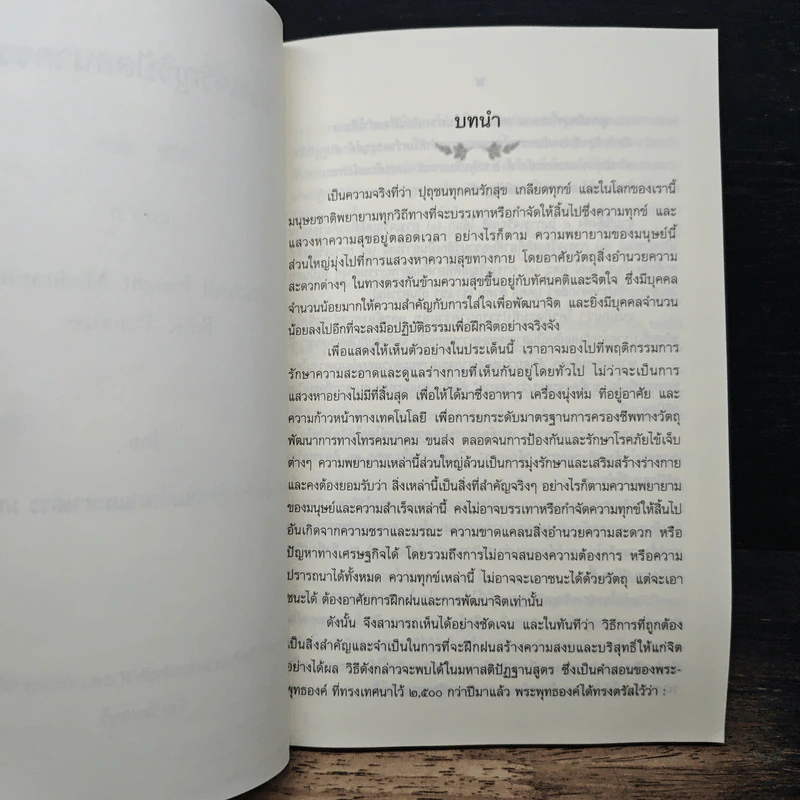 แนวทางเจริญวิปัสสนากรรมฐาน อัคคมหาบัณฑิต ภัททันตโสภณมหาเถระ มหาสีสยาดอ รูปที่ 8