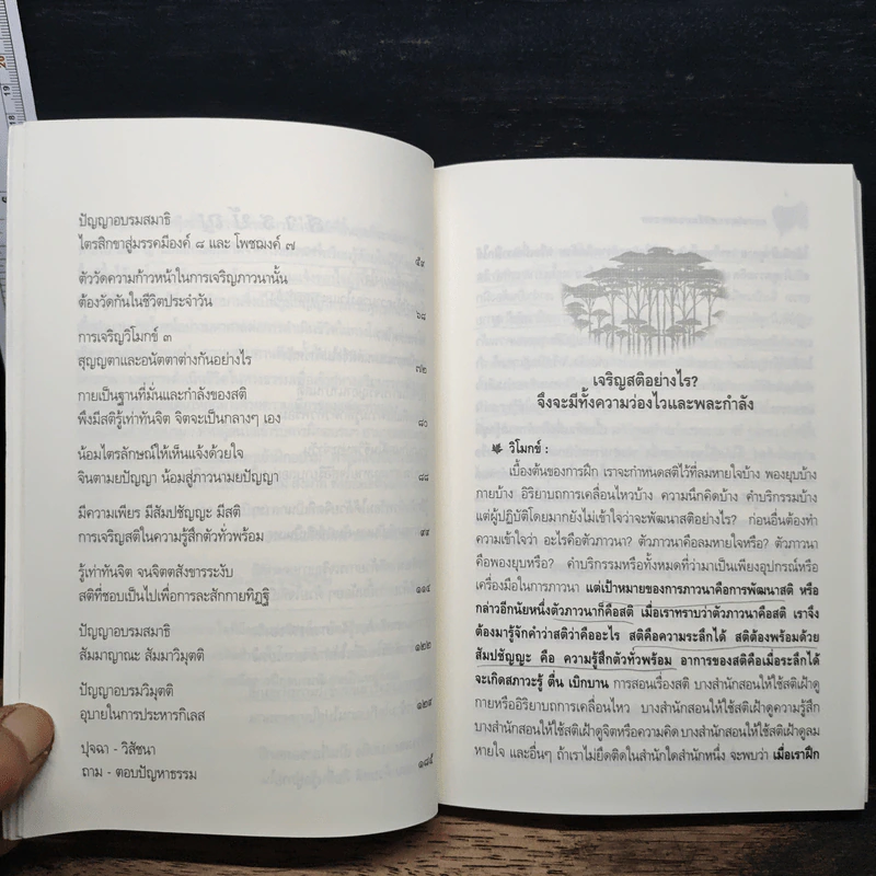 การพัฒนาสติในการภาวนา - นายแพทย์ประเวศ วะสี รูปที่ 9