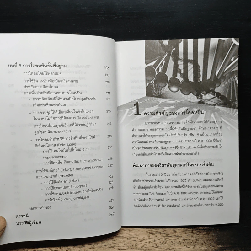 การโคลนยืนเบื้องต้น - มณีวรรณ สุขสมทิพย์ รูปที่ 10