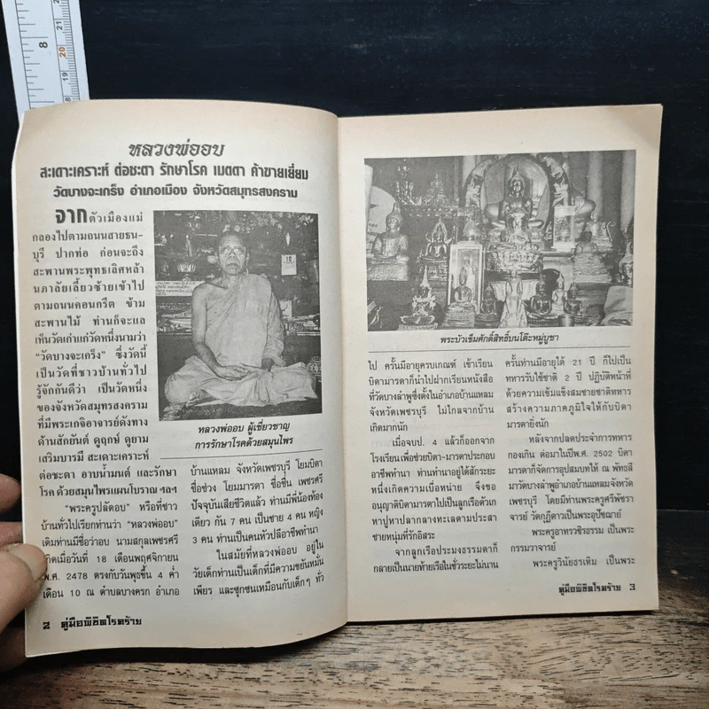 คู่มือรักษา-พิชิตโรคร้าย ด้วยสมุนไพรไทย พระหมอ รูปที่ 6
