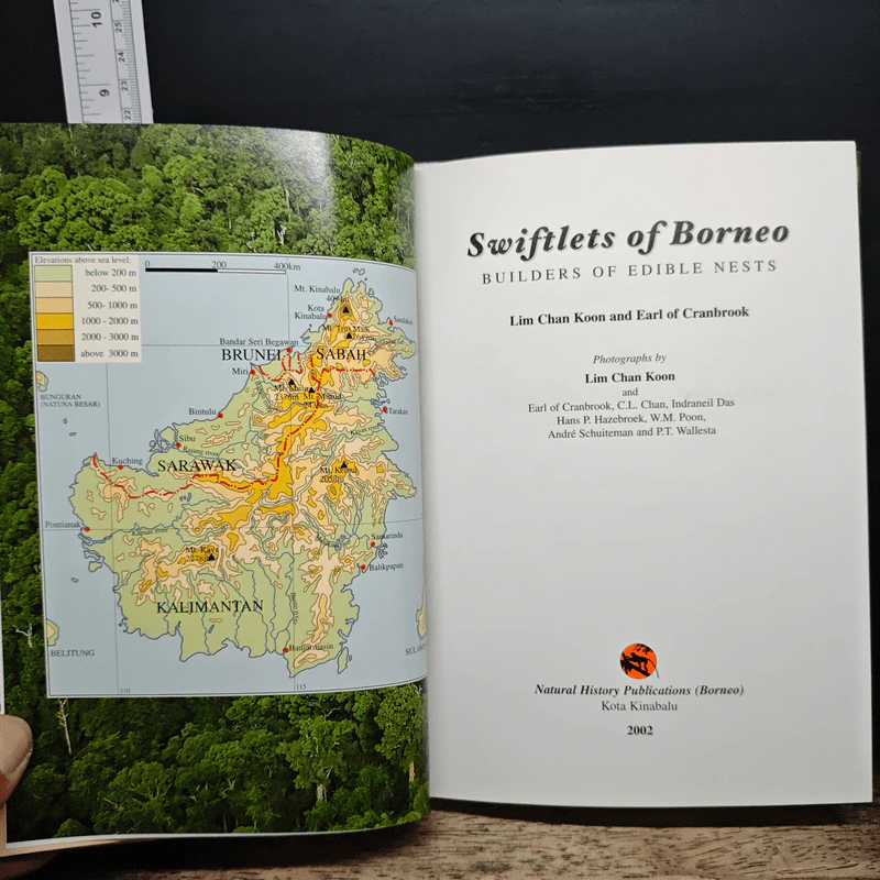 Swiftlets of Borneo: Builders of Edible Nests - Lim Chan Koon รูปที่ 6