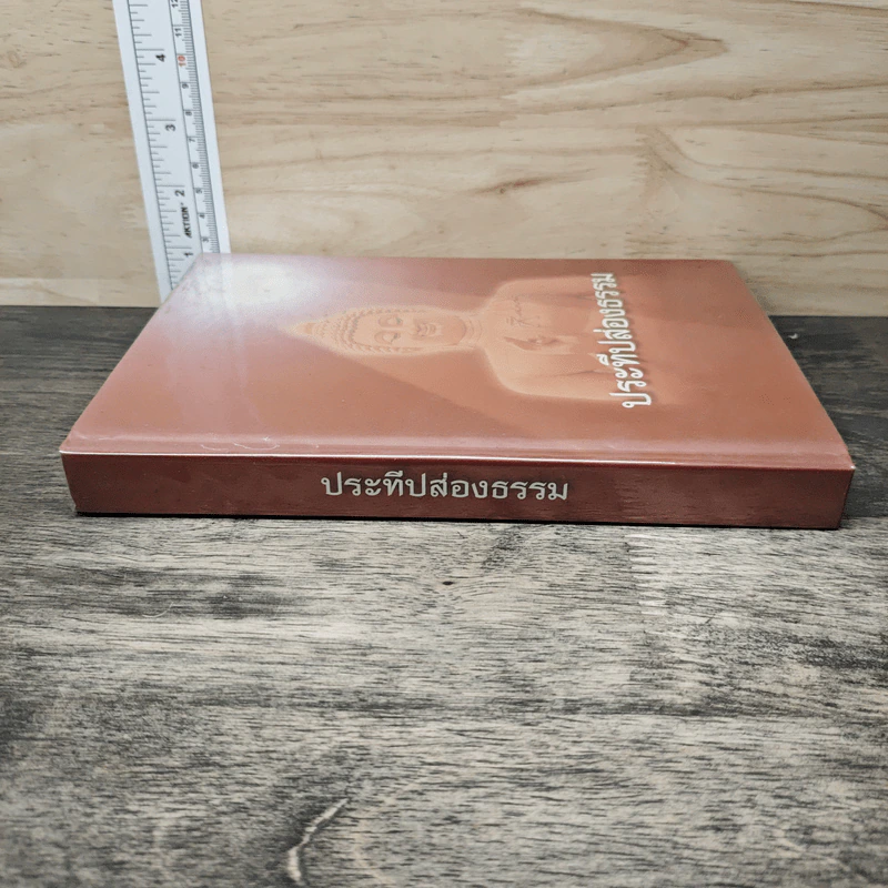 ประทีปส่องธรรม - พระปราโมทย์ ปาโมชโช รูปที่ 2
