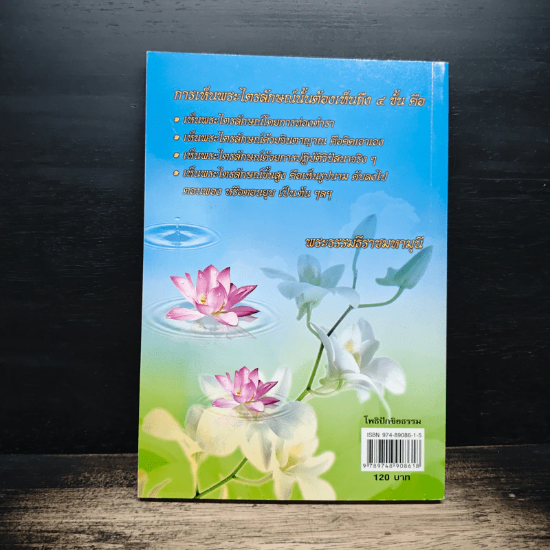 โพธิปักขิยธรรม 37 ประการ รูปที่ 2