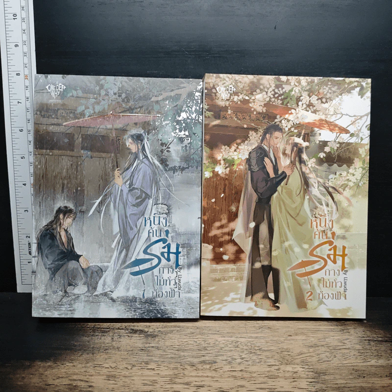 หนึ่งคันร่มกางไม่ทั่วท้องฟ้า 2 เล่มจบ - LLwuda รูปที่ 1