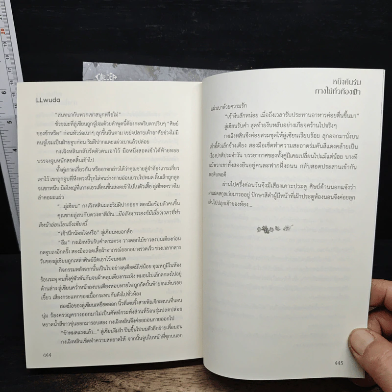 หนึ่งคันร่มกางไม่ทั่วท้องฟ้า 2 เล่มจบ - LLwuda รูปที่ 10