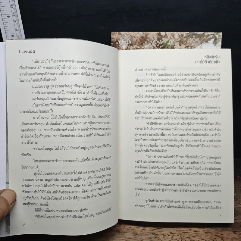 หนึ่งคันร่มกางไม่ทั่วท้องฟ้า 2 เล่มจบ - LLwuda รูปที่ 9