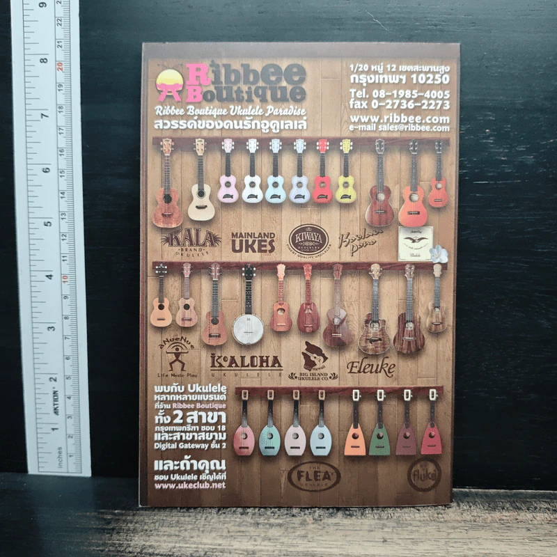 Uke 101 อูคูเลเล่สำหรับผู้เริ่มต้น - Acoustic Ballyhoo รูปที่ 2