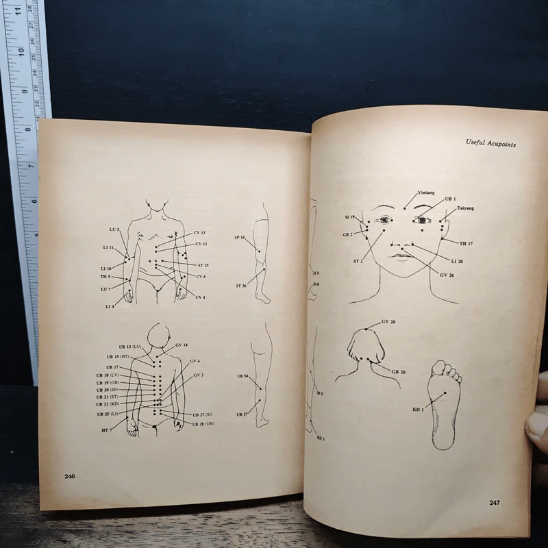 The Acupressure Handbook - Shizuko Yamamoto, Patrick McCarty รูปที่ 14