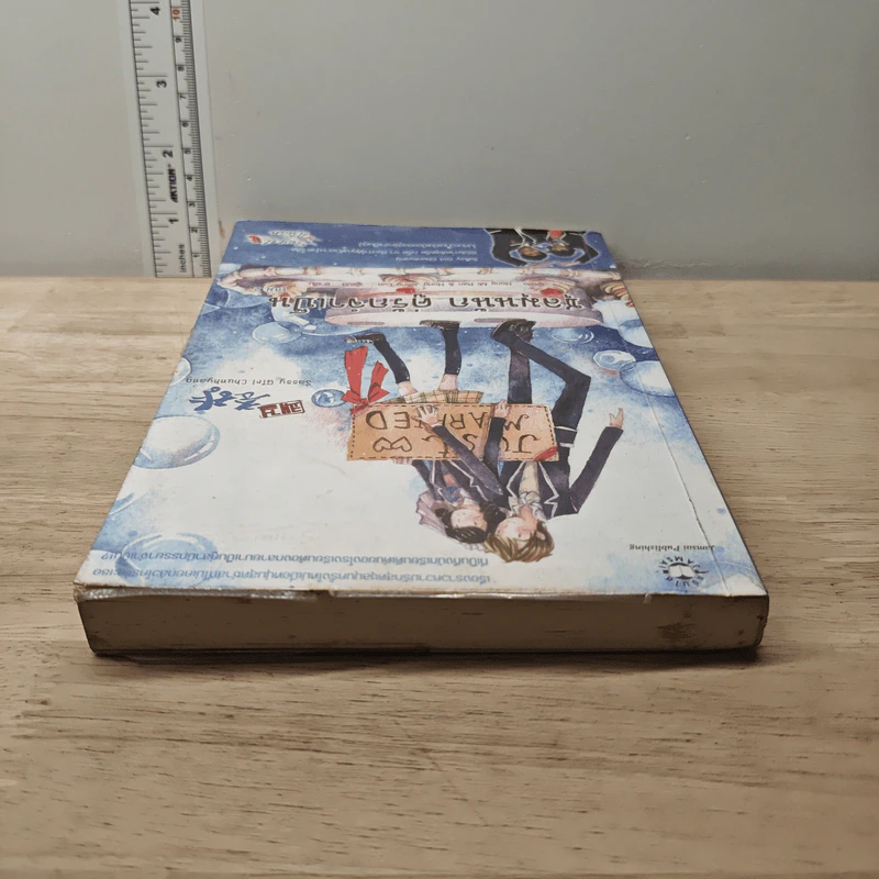 ชุลมุนนัก คู่รักจำเป็น เล่ม 2 - Hong Jung Eun, Hong Mi Ran รูปที่ 4