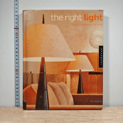 the right light - Lisa Skolnik