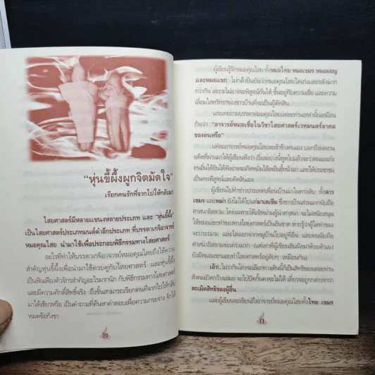 เวทย์มนตร์ศาสตรา คาถาผูกจิตมัดใจ - แปลก พรานนก รูปที่ 8