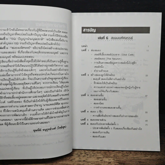 สร้างเด็กให้เป็นอัจฉริยะ เล่มที่ 6 สมองมหัศจรรย์ รูปที่ 7