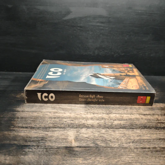 ICO - มิยาเบะ มิยูกิ รูปที่ 3