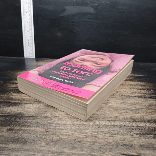 Toddling to Ten - Hollie Smith รูปที่ 4