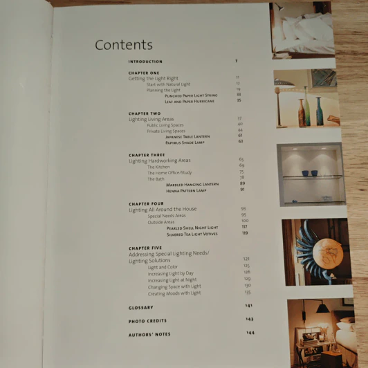 the right light - Lisa Skolnik รูปที่ 6
