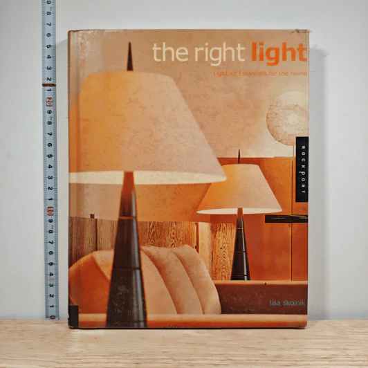 the right light - Lisa Skolnik รูปที่ 1
